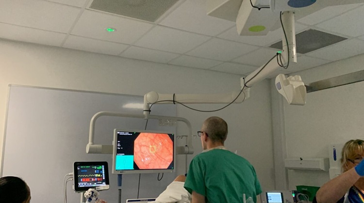 Image: The GI Genius in use during a colonscopy (Photo courtesy of NHS)