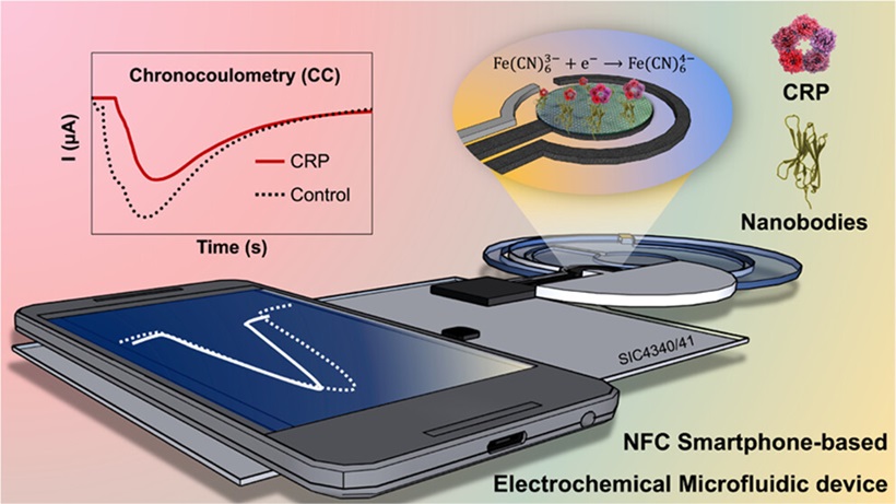 Image: Schematic illustration of the developed sensor obtained by combining the microfluidic device with a smartphone-based potentiostat (Photo courtesy of ACS Sensors (2024). DOI: 10.1021/acssensors.4c00249)