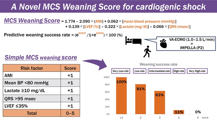 Image: New risk scoring method for predicting mechanical circulatory support devices weaning success (Photo courtesy of Sho Suzuki/Shinshu University)