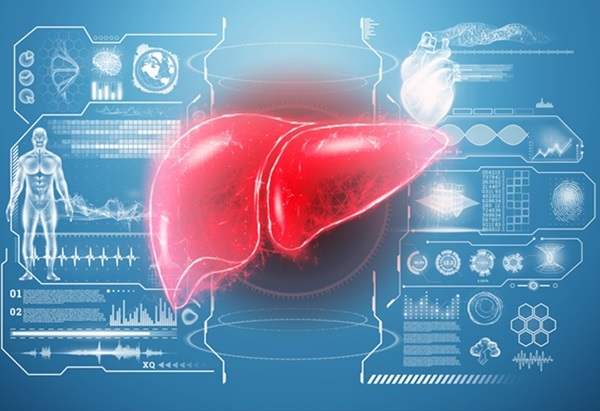 Image: Researchers have developed a risk score for hepatocellular cancer in adults without viral hepatitis or cirrhosis (Photo courtesy of 123RF)