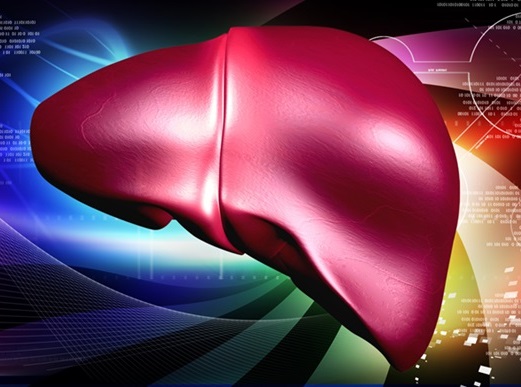 Image: AI can find undiagnosed liver disease in early stages (Photo courtesy of 123RF) Image: AI can find undiagnosed liver disease in early stages (Photo courtesy of 123RF)