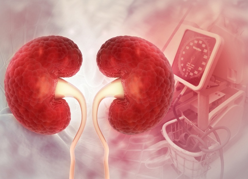 Image: The LC-MS/MS assay can serve as a reference method to validate emerging biosensors for renal function monitoring (Photo courtesy of 123RF)