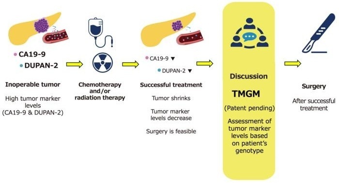 Image: The diagnostic tool determines if patients with pancreatic cancer are suited for post-treatment surgery (Photo courtesy of Haruyoshi Tanaka/Nagoya University Hospital)