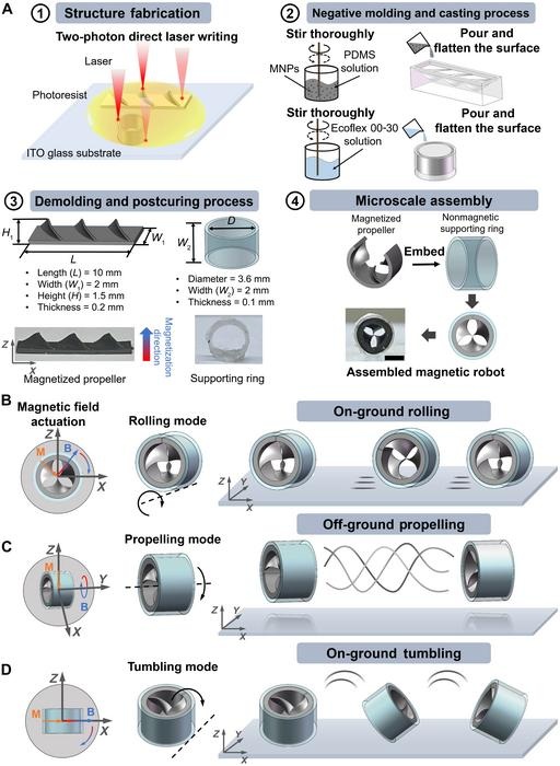 Image: Fabrication and motion mechanism of the magnetically actuated shaftless propeller-like millirobot (Photo courtesy of Yaozhen Hou/Beijing Institute of Technology) Image: Fabrication and motion mechanism of the magnetically actuated shaftless propeller-like millirobot (Photo courtesy of Yaozhen Hou/Beijing Institute of Technology)