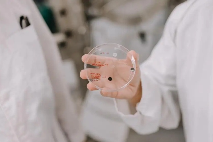 Image: A close-up of the biobattery (Photo courtesy of UOW) Image: A close-up of the biobattery (Photo courtesy of UOW)