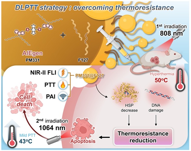 Image: Schematic illustration of the DLPTT strategy designed to address the limitations of PTT (Photo courtesy of SIAT) Image: Schematic illustration of the DLPTT strategy designed to address the limitations of PTT (Photo courtesy of SIAT)