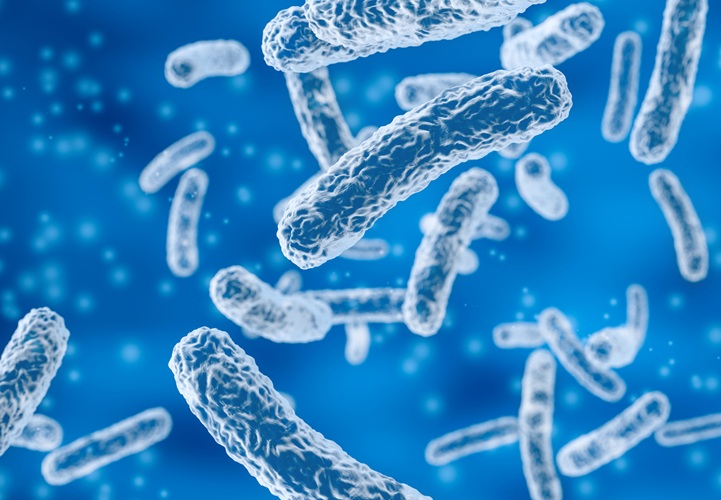 Image: Smart microbes use pathogenic tools to deliver therapeutics (Photo courtesy of Tufts) Image: Smart microbes use pathogenic tools to deliver therapeutics (Photo courtesy of Tufts)