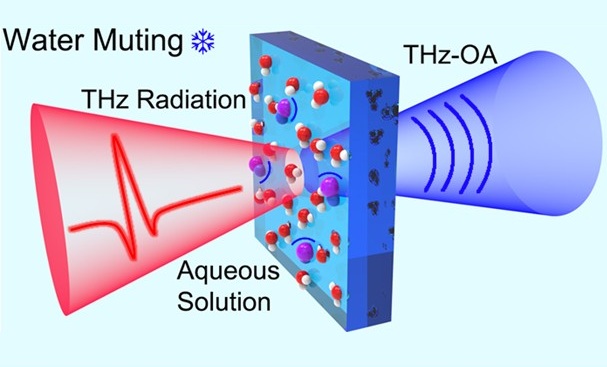 Image: The OA terahertz spectroscopy system enables long-term, non-invasive monitoring of blood sodium levels (Photo courtesy of Zhen Tian/Tianjin University) Image: The OA terahertz spectroscopy system enables long-term, non-invasive monitoring of blood sodium levels (Photo courtesy of Zhen Tian/Tianjin University)