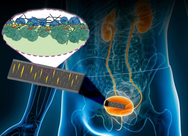 Image: The skin-like sensor monitors internal and external body movement, and electrical signals (Photo courtesy of Huanyu “Larry” Cheng and Jennifer M. McCann) Image: The skin-like sensor monitors internal and external body movement, and electrical signals (Photo courtesy of Huanyu “Larry” Cheng and Jennifer M. McCann)