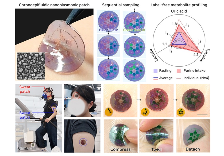 Image: Flexible microfluidic nanoplasmonic patch (top left), sequential sample collection using the patch (top center) and label-free metabolite profiling (top right); example of the fabricated patch worn (bottom left) and images of sequential sweat collection and storage (bottom right) (Photo courtesy of KAIST) Image: Flexible microfluidic nanoplasmonic patch (top left), sequential sample collection using the patch (top center) and label-free metabolite profiling (top right); example of the fabricated patch worn (bottom left) and images of sequential sweat collection and storage (bottom right) (Photo courtesy of KAIST)