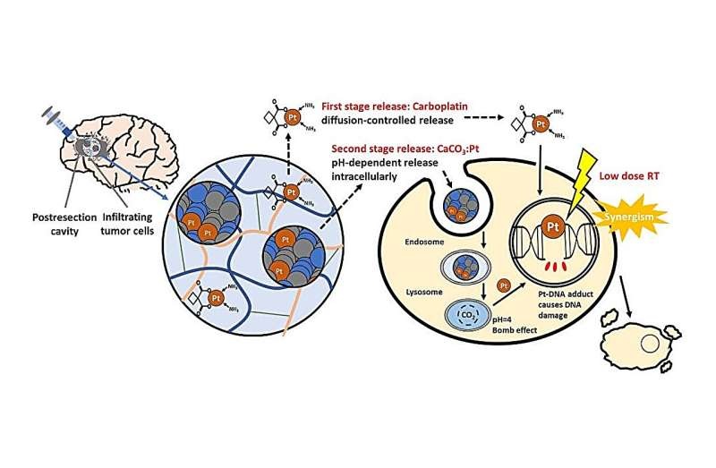 Image: The composite gel can be injected directly into the postresection cavity after tumor bulk excision to achieve local drug delivery (Photo courtesy of Chemical Engineering Journal, 2025. DOI: 10.1016/j.cej.2025.084086)