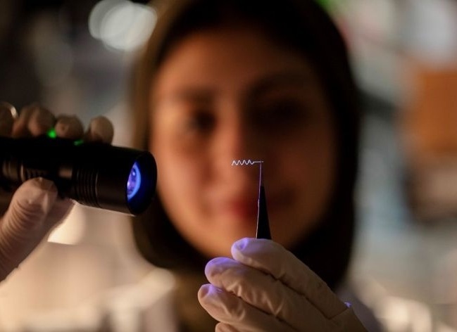 Image: The device is a thin, flexible tube designed to release medication at several points inside the brain (Photo courtesy of NYU Abu Dhabi) Image: The device is a thin, flexible tube designed to release medication at several points inside the brain (Photo courtesy of NYU Abu Dhabi)