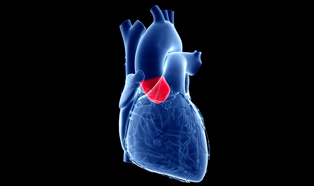 Image: The multicenter clinical trial compared outcomes between two approaches for replacing the heart’s aortic valve (Photo courtesy of 123RF)