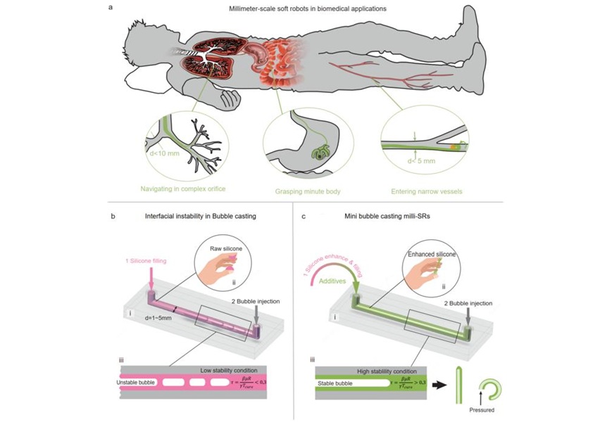 Image: Researchers can make soft robots no wider than a pin with a single syringe in 30 minutes (Rong Bian, et al. National Science Review, 2025; doi.org/10.1093/nsr/nwaf413)