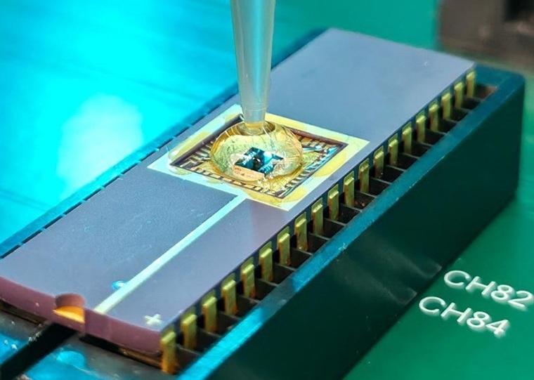 Image: The carbon-nanotube-based–based wearable sensor has demonstrated unprecedented sensitivity in detecting viral antibodies (Photo courtesy of University of Pittsburgh)