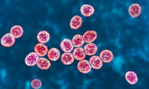 Image: The novel technology is capable of killing some of the most dangerous bacteria known to medicine (Photo courtesy of Adobe Stock) Image: The novel technology is capable of killing some of the most dangerous bacteria known to medicine (Photo courtesy of Adobe Stock)