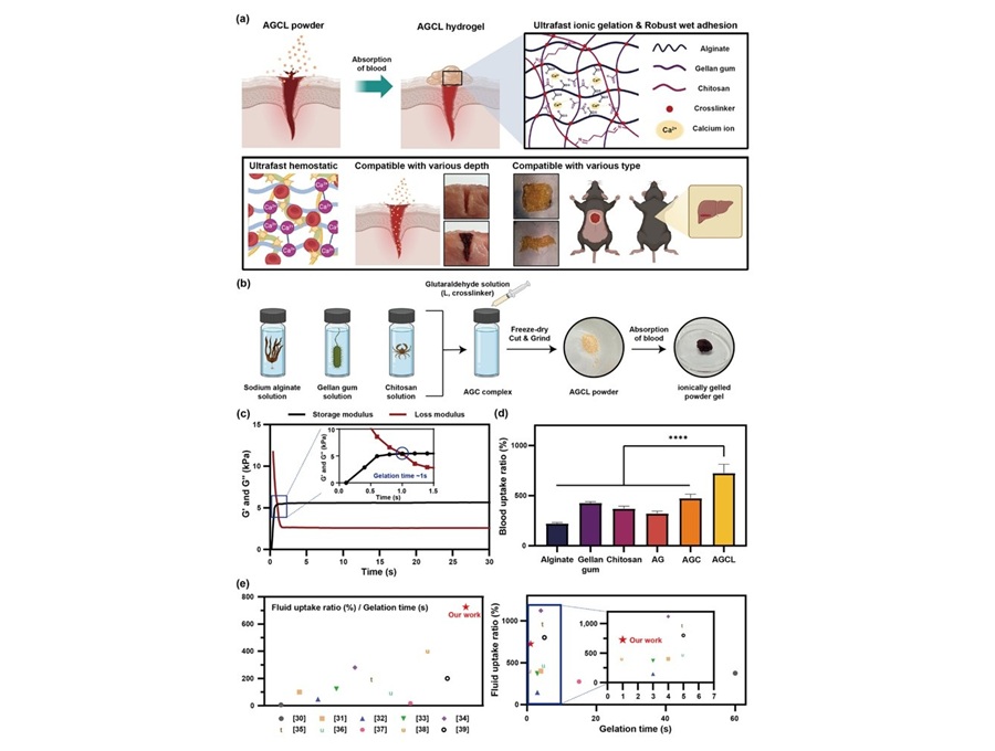 Image: AGCL powder development strategy and fabrication schematic (Advanced Functional Materials (2025). doi.org/10.1002/adfm.202523910)