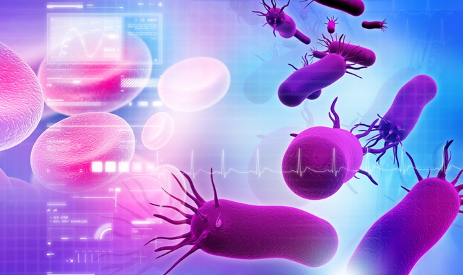 Image: The modified oxygen-sensitive bacteria can selectively grow inside tumors and destroy cancer cells (Photo courtesy of 123RF)