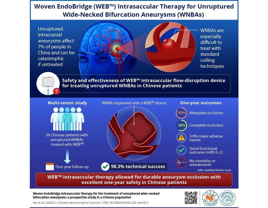 Image: Woven EndoBridge therapy was found safe and effective for unruptured wide-necked bifurcation aneurysms (Photo courtesy of Capital Medical University)