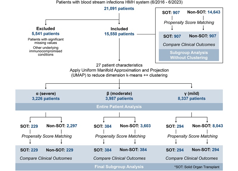Image: Study procedure flow chart. After patients with BSI were identified from microbiology databases, 27 patients\' characteristics were extracted from electronic health records. After the dimension of those variables was reduced with Uniform Manifold Approximation and Projection (UMAP), k-means++ was used to identify clusters. Three clinically distinct clusters were identified. Among those clusters, patients were divided into solid organ transplant (SOT) and non-SOT groups. Clinical characteristics and outcomes were evaluated (Masayuki Nigo et al., American Journal of Transplantation (2026). DOI: 10.1016/j.ajt.2025.10.019)
