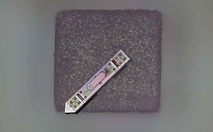 Image: A neural implant developed at Cornell rests on a grain of salt. About 300 microns long and 70 microns wide, it’s the smallest neural implant capable of wirelessly transmitting brain activity data (photo courtesy of Sunwoo Lee) Image: A neural implant developed at Cornell rests on a grain of salt. About 300 microns long and 70 microns wide, it’s the smallest neural implant capable of wirelessly transmitting brain activity data (photo courtesy of Sunwoo Lee)