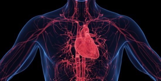 Photo courtesy of Adobe Stock