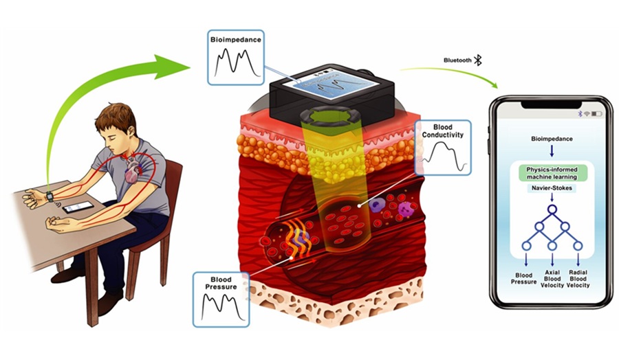 Image credit: Henry Crandall et al., Nature Communications (2026). DOI: 10.1038/s41467-026-72693-1 Image credit: Henry Crandall et al., Nature Communications (2026). DOI: 10.1038/s41467-026-72693-1