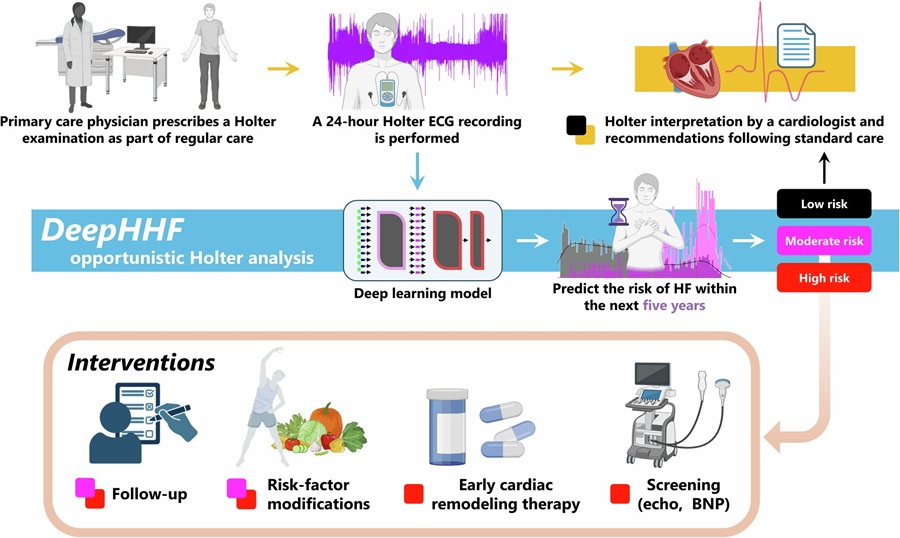 Image: Perspective clinical scenario for using the DeepHHF score (Eran Zvuloni et al., npj Digital Medicine (2026). DOI: 10.1038/s41746-026-02835-8) Image: Perspective clinical scenario for using the DeepHHF score (Eran Zvuloni et al., npj Digital Medicine (2026). DOI: 10.1038/s41746-026-02835-8)