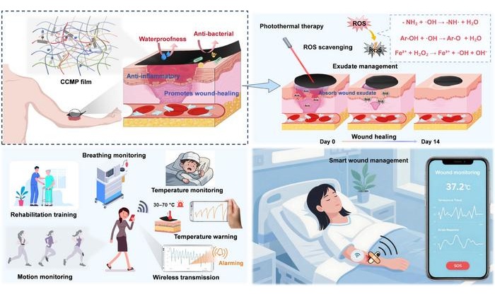 Image: A natural biomass-derived multimodal conductive e-skin patch integrating skin-interfacing wearable bioelectronics and smart wound healing was developed, combining smart wound dressings with skin bioelectronic for multimodal physiological signal monitoring on a portable wireless wearable platform. (Photo courtesy of Nano Research, Tsinghua University Press)