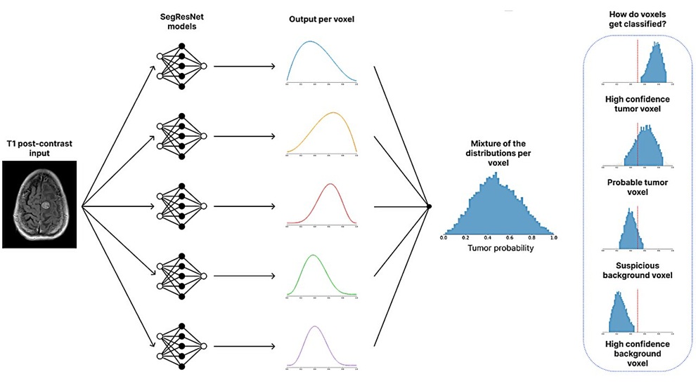 Image: Conceptual overview of the evidential deep learning ensemble framework (Yassine Guennoun et al., npj Digital Medicine, 2026. DOI: 10.1038/s41746-026-02902-0)