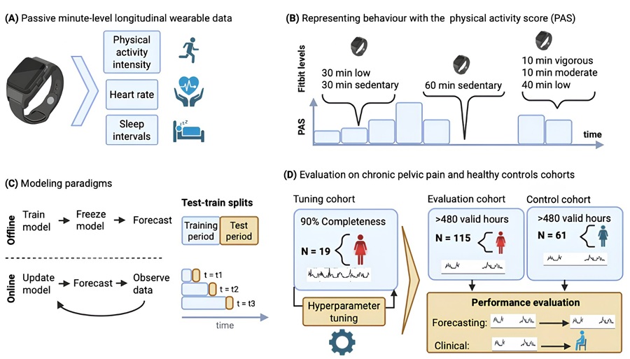 The illustration shows how the study used wearable data to forecast prolonged sedentary periods and inform future personalized movement reminders. (Jegminat, J., Shahnawaz, S., Rodrigues, J. et al. npj Womens Health, 2026. https://doi.org/10.1038/s44294-026-00156-5) The illustration shows how the study used wearable data to forecast prolonged sedentary periods and inform future personalized movement reminders. (Jegminat, J., Shahnawaz, S., Rodrigues, J. et al. npj Womens Health, 2026. https://doi.org/10.1038/s44294-026-00156-5)