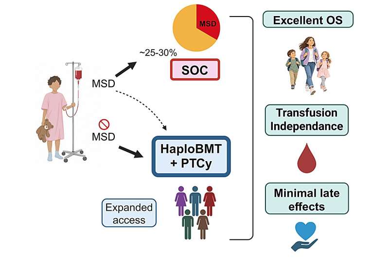 Image: Half-matched bone marrow transplant expands access to curative treatment for children and young adults with severe aplastic anemia. (Photo courtes of Margarita Dionysiou using Bio Render)