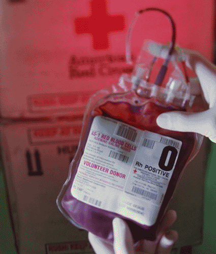 Image: Blood bag containing human blood for transfusion (Photo courtesy of Will & Deni McIntyre).