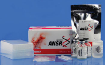 The ANSR (Amplified Nucleic Single Temperature Reaction) system