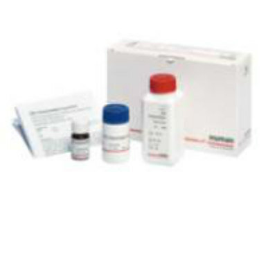 SALMONELLA INFECTION RAPID TEST