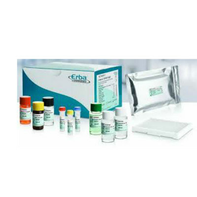 CELIAC DISEASE TEST