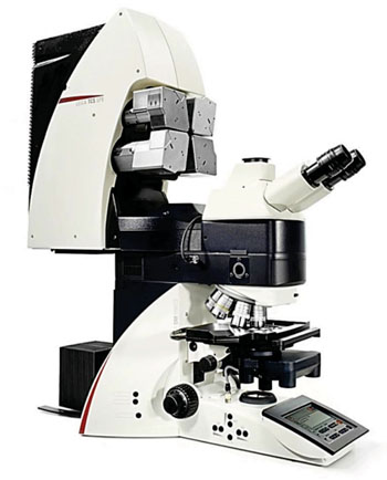 Image Image