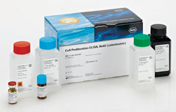 Roche Diagnostic\'s BrdU Cell Proliferation enzyme-linked immunosorbent assay kit