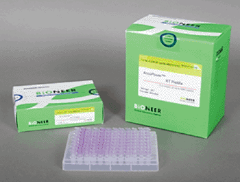 Image: The AccuPower Norovirus Real-time RT-PCR assay kit (Photo courtesy of Bioneer Corporation).