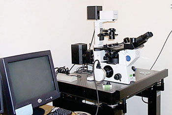 Image: An IX71 inverted microscope with epi-fluorescence used for time-resolved orthogonal scanning automated microscopy (Photo courtesy of Macquarie University).