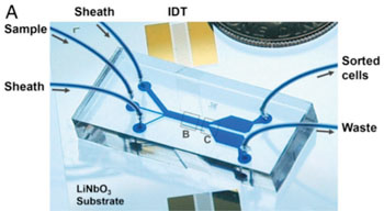 Image: Microfluidic device uses sound waves to sort tumor from white-blood cells as they flow through the channel from left to right (IDT [interdigital transducers] are sound source) (Photo courtesy of Ding X, et al).