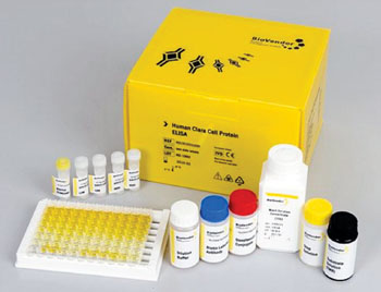 Image: An enzyme-linked immunosorbent assay kit for measuring protein markers (Photo courtesy of BioVendor USA).
