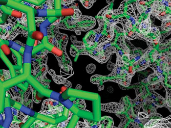 Image: A membrane protein called cysZ, imaged in three dimensions with Phenix software using data that could not previously be analyzed (Photo courtesy of the Los Alamos [US] National Laboratory).