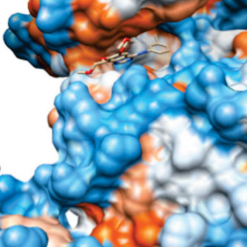 Image: Erlotinib bound to EGRF at 0.26 nm resolution; surface color indicates hydrophobicity (Photo courtesy of Wikimedia Commons).