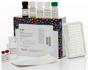 Image: Enzyme-linked immunosorbent assay kit for cytokines (Photo courtesy of Life Technologies).