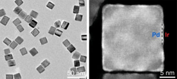 Image: A new catalyst that improved the sensitivity of the standard PSA ELISA test by about 110-fold was made of palladium nanocubes coated with iridium (Photo courtesy of Dr. Xiaohu Xia, Michigan Technological University).