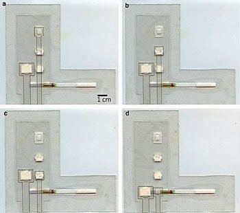 Image: The paper and plastic device combines isothermal amplification and lateral flow to detect malaria (Photo courtesy of Rice University).