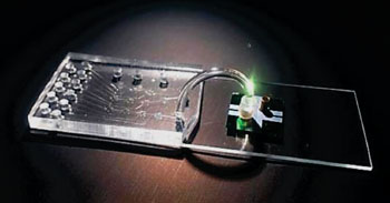 图片:这款混合器件集成了用于样品制备的微流控芯片和用于对单个病毒RNA分子进行光检测的光流控芯片(图片蒙Joshua W. Parks惠赐)。 图片:这款混合器件集成了用于样品制备的微流控芯片和用于对单个病毒RNA分子进行光检测的光流控芯片(图片蒙Joshua W. Parks惠赐)。