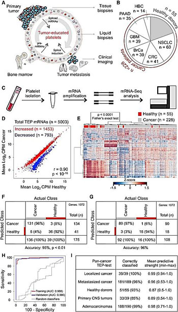 Схематическое представление образованных в опухоли тромбоцитов в качестве биологического источника для жидких биопсий (фото любезно предоставлено журналом Cancer Cell). Схематическое представление образованных в опухоли тромбоцитов в качестве биологического источника для жидких биопсий (фото любезно предоставлено журналом Cancer Cell).