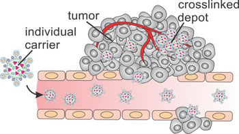 Image: Biomedical engineering researchers have developed a technique for creating microscopic “depots” for trapping drugs inside cancer tumors. In an animal model, these drug depots were more effective at shrinking tumors than the use of the same drugs without the depots (Photo courtesy of Quanyin Hu, University of North Carolina).